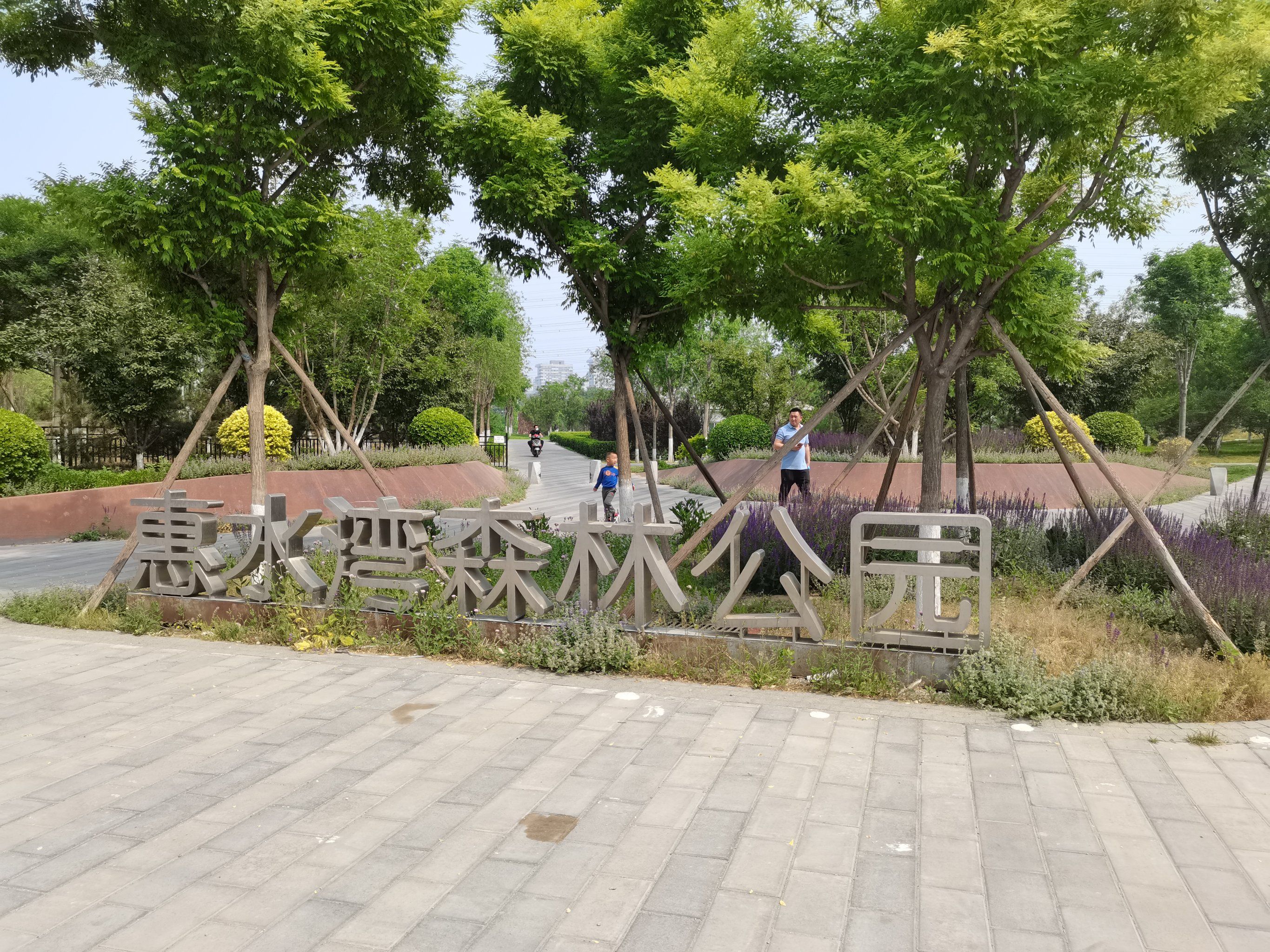 惠水湾森林公园