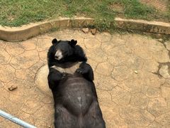 -无锡动物园·太湖欢乐园