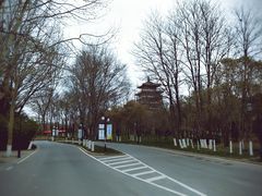 -思念果岭悦温泉