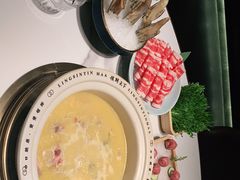 -领鲜天下·焗海鲜·花胶鸡(天目里店)