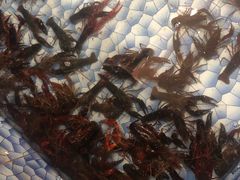 小龙虾-老黑板筋(顺义总店)