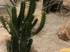 -OUR Bakery(SKP-S店)