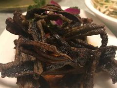-新聚丰菜馆(太监弄店)