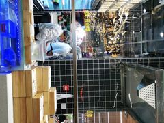 -好彩猪肚鸡(正弘城店)