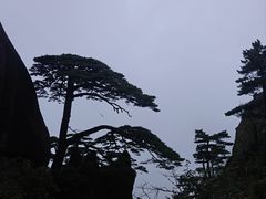 -黄山玉屏楼宾馆餐厅