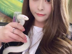 -藦茜花园宠物主题亲子互动体验馆(国顺东路店)