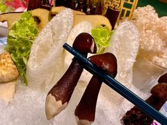 -喜聚薈·花膠雞海鮮火鍋(越秀店)