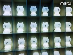 -line friends(明洞旗舰店)