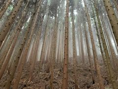-山王坪喀斯特国家生态公园