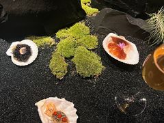 -曲廊院(东四十一条店)