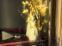 -狮子楼大酒店中餐厅