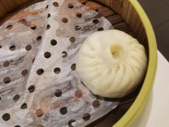 铁勺小笼包-大铁勺新津菜(东丽阳光新业广场店)