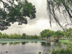 -无锡蠡湖国家湿地公园-蠡园