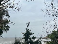 -崇武古城风景区