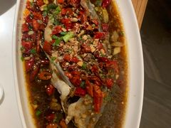 -杨氏青龙虾·羊蝎子(金盛路总店)
