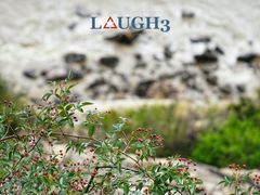 -北岐滩涂