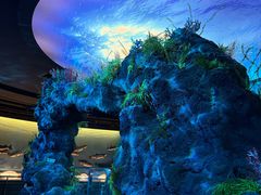 -陕西自然博物馆