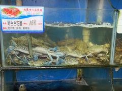 -北港方记海鲜楼·海景餐厅
