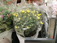 -Kaufland Aachen, Vaalser Str.
