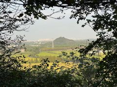 -上海佘山国家森林公园天马山园