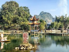 -靖西鹅泉风景区