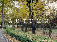 -森林公园(尖草坪区)