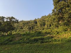 -福建鲤鱼洲酒店