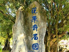 -云南勐巴娜西珍奇园