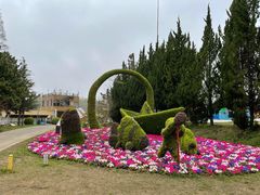 -东平国家森林公园