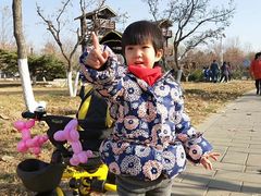 -绿堤公园