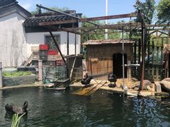 -湖鲜楼