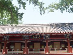 -白云观