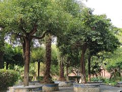 -广州神农草堂中医药博物馆