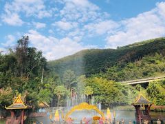 -西双版纳原始森林公园