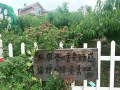 -北马山庄植趣咖啡