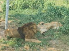 -西安秦岭野生动物园