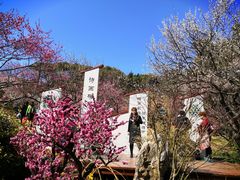 -无锡梅园公园