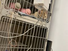 -艾贝尔宠物医院 ·中兽医·宠保定点(北门桥店)
