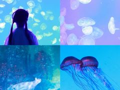 -沈阳海洋探索中心