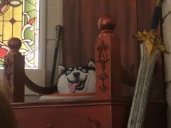 -逃脱反斗城沉浸剧情密室(北京路店)