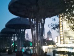 -运河游船(武林门码头)