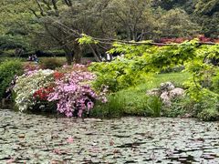-杭州植物园