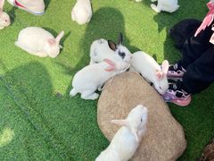 -南戴河国际娱乐中心