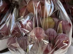 -马陆小张葡萄园农家乐