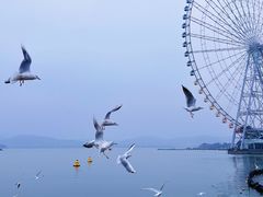 -蠡湖大桥公园
