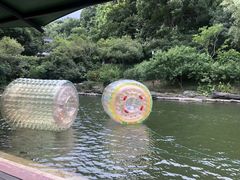 -杭州少年儿童公园