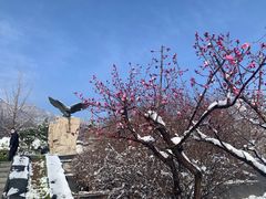 -北京鹫峰国家森林公园
