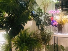 -一尺花园(安和花园店)