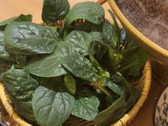 -巴奴毛肚火锅(龙湖锦艺城店)