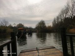 -溱湖国家湿地公园